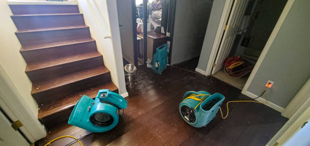 Best Commercial water damage restoration  in Tennessee Ridge, TN
