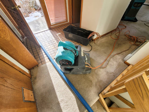 Best Ceiling water damage repair  in Tennessee Ridge, TN