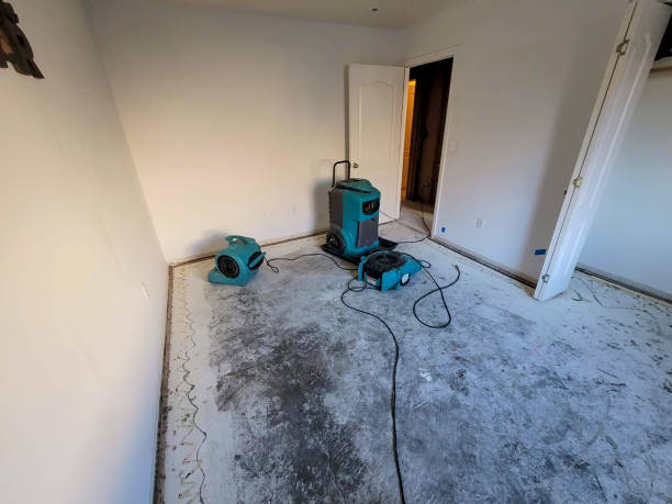Best Local water damage restoration  in Tennessee Ridge, TN