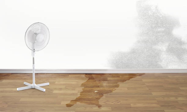  Tennessee Ridge, TN Water damage restoration Pros