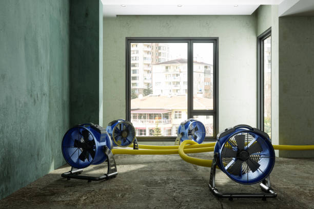 Best Emergency water damage restoration  in Tennessee Ridge, TN