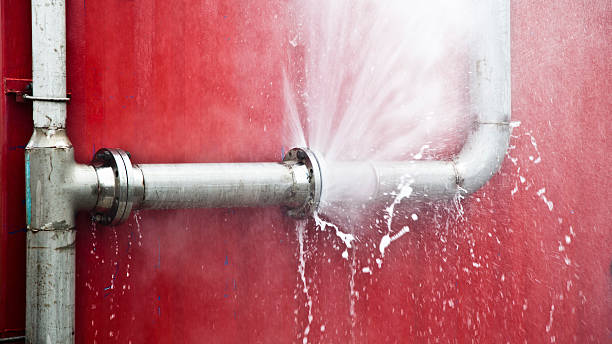 Best Water damage cleanup near me  in Tennessee Ridge, TN